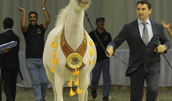 Dubai-International-Horse-Fair-2016-DWTC