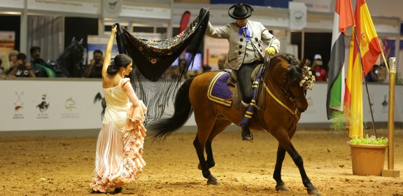 Dubai International Horse Fair - 2016 (DWTC)