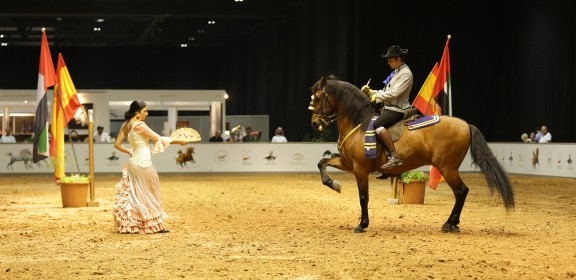 Dubai International Horse Fair - 2016 (DWTC)