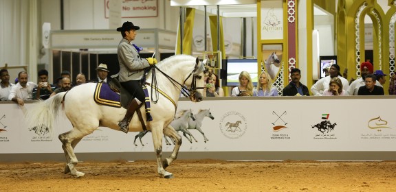 Dubai International Horse Fair - 2016 (DWTC)