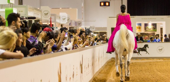 Dubai International Horse Fair - 2016 (DWTC)