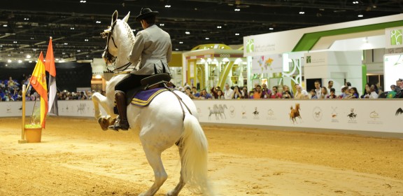 Dubai International Horse Fair - 2016 (DWTC)