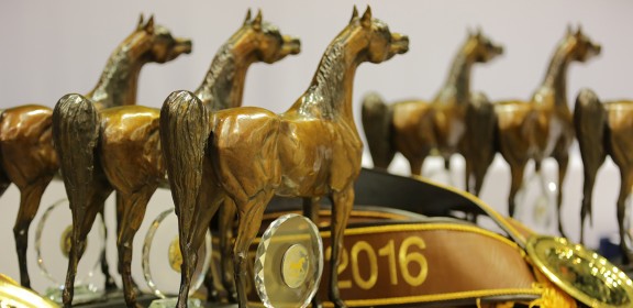 Dubai International Horse Fair - 2016 (DWTC)