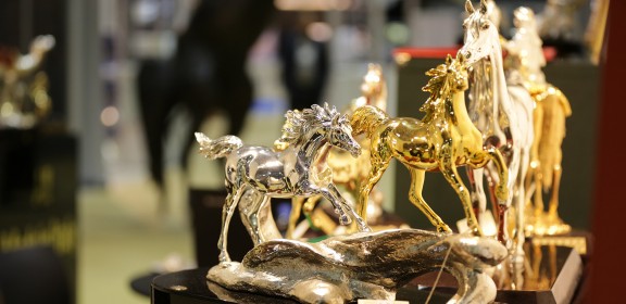 Dubai International Horse Fair - 2016 (DWTC)