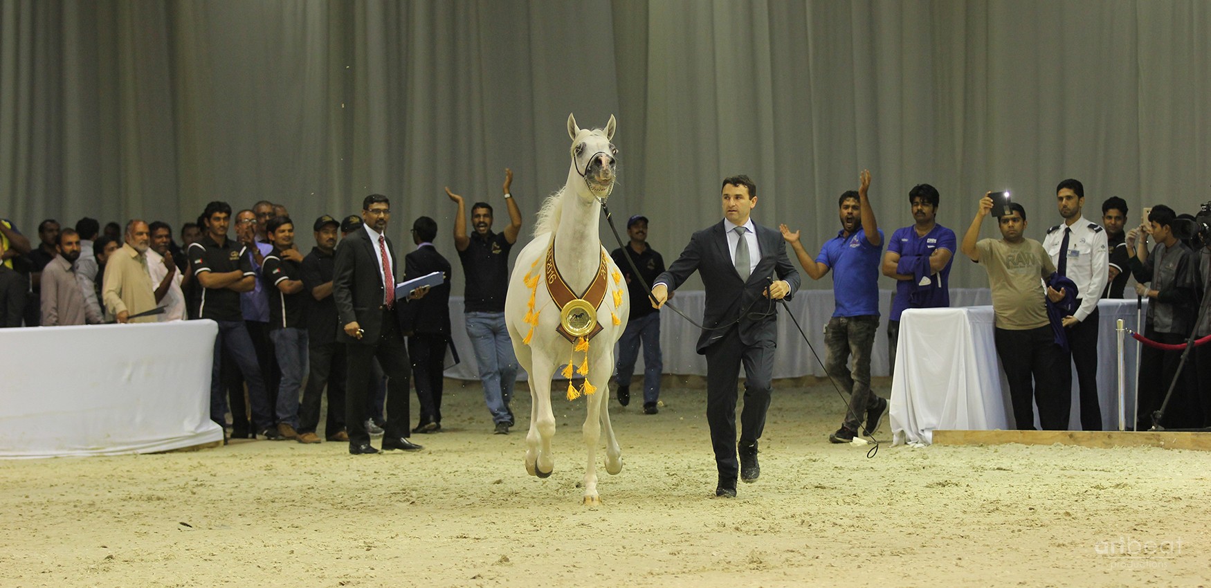 Dubai International Horse Fair - 2016 (DWTC)