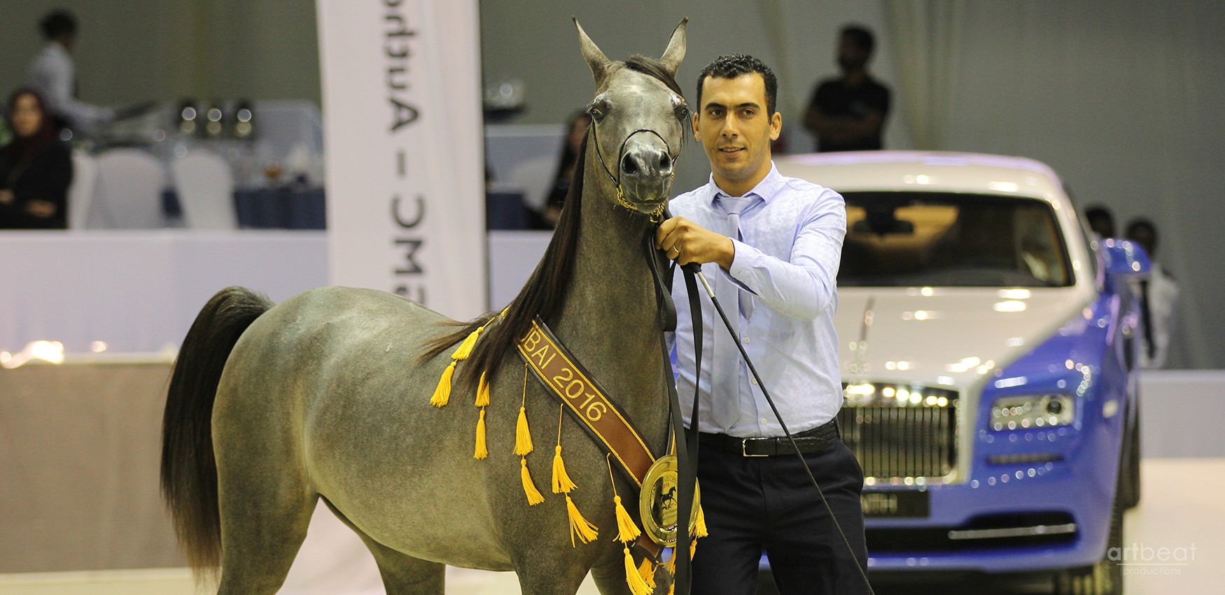 Dubai International Horse Fair - 2016 (DWTC)