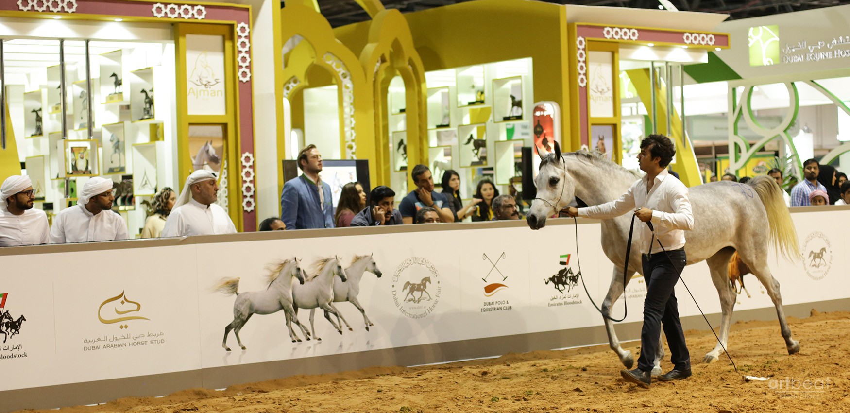 Dubai International Horse Fair - 2016 (DWTC)