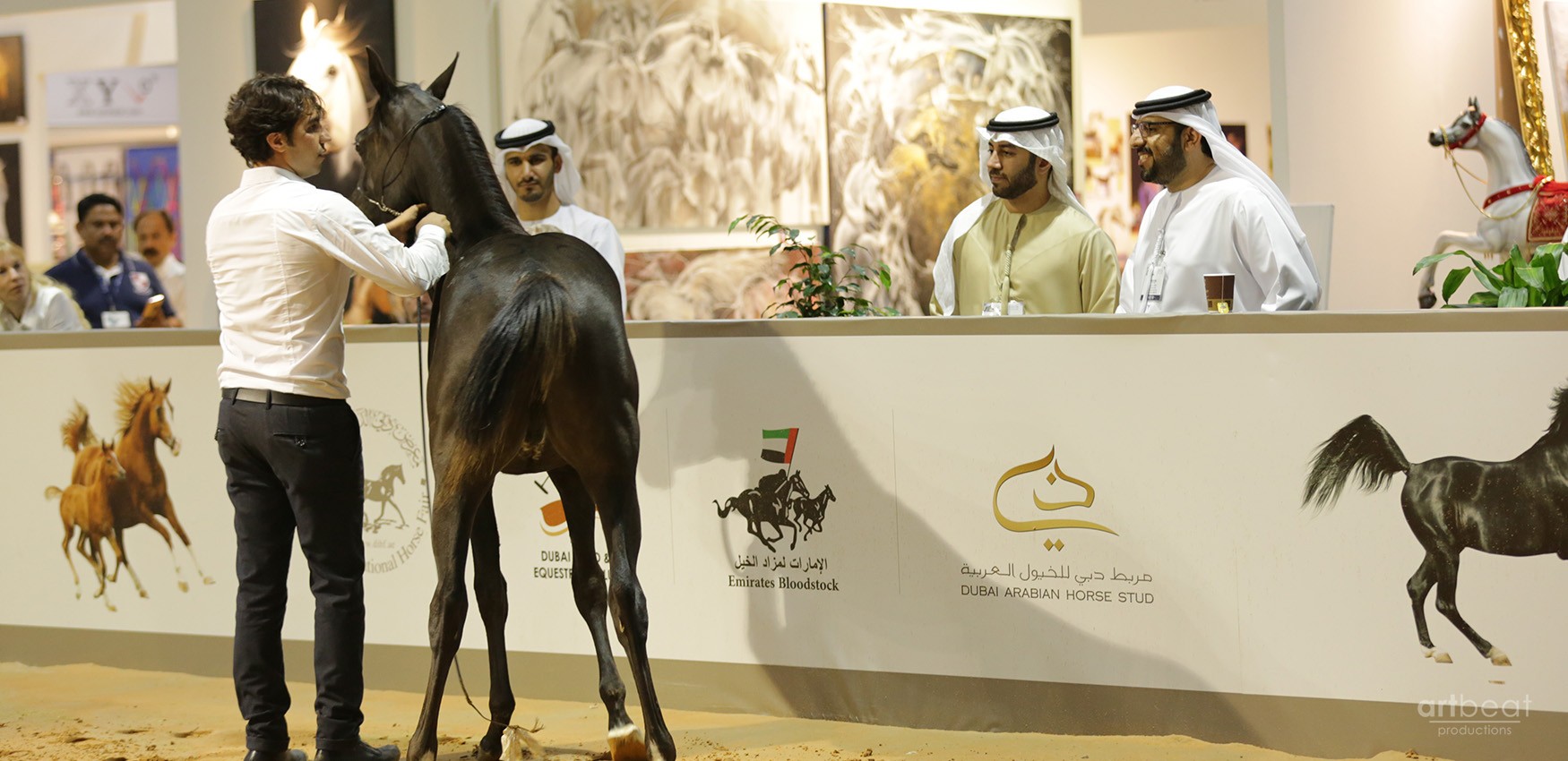 Dubai International Horse Fair - 2016 (DWTC)